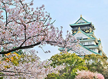 安卓版-官方：长春喜都签下后卫王天赐、中场徐浩峻萌